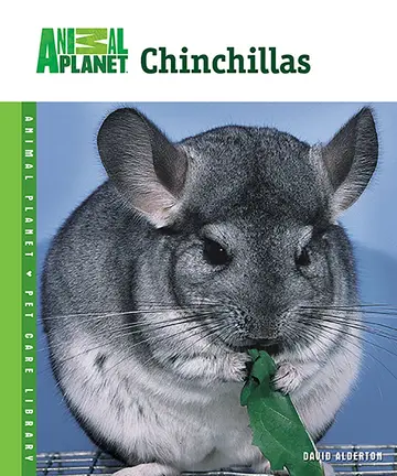Cover of Chinchillas
