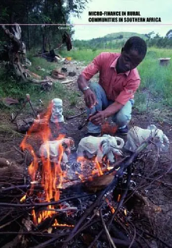Cover of Micro-finance in Rural Communties in Southern Africa