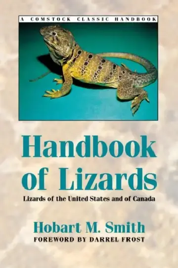 Cover of Handbook of Lizards