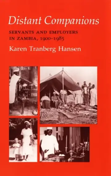 Cover of Distant Companions