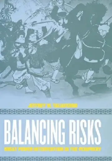 Cover of Balancing Risks
