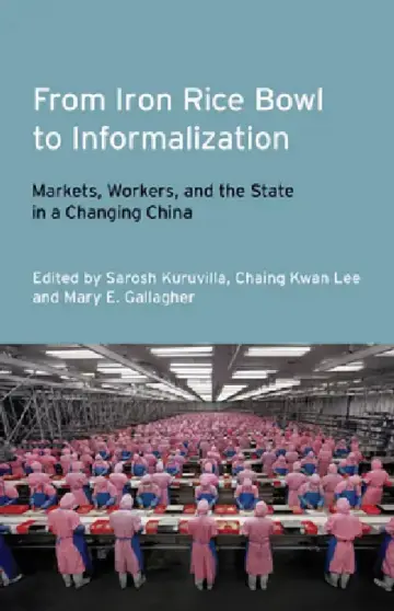Cover of From Iron Rice Bowl to Informalization