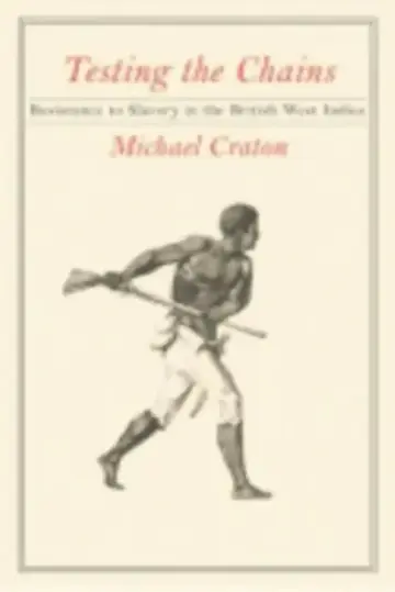 Cover of Testing the Chains