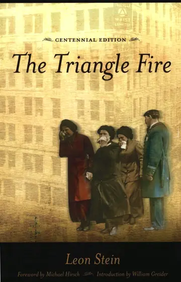 Cover of The Triangle Fire