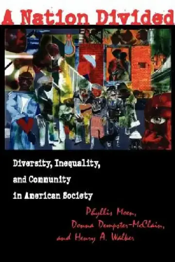 Cover of A Nation Divided