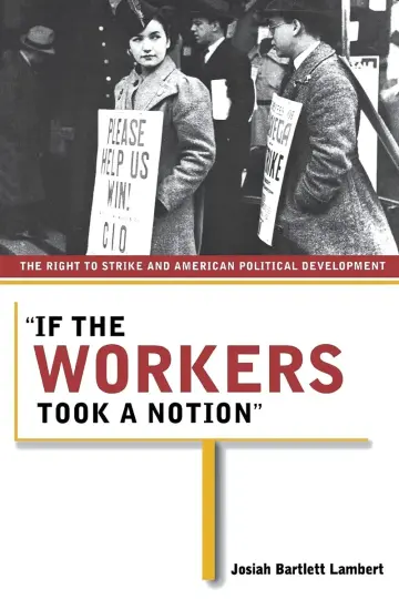 Cover of If the Workers Took a Notion