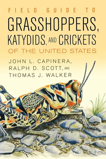 Cover of Field Guide to Grasshoppers, Katydids, and Crickets of the United States