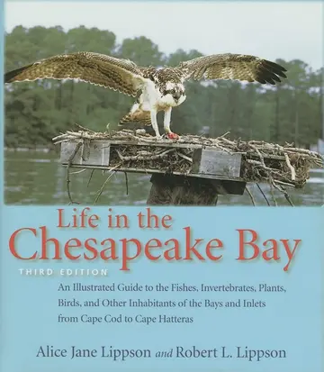 Cover of Life in the Chesapeake Bay