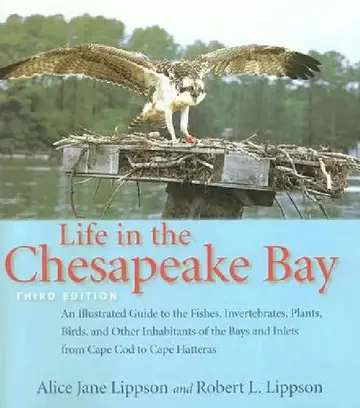 Cover of Life in the Chesapeake Bay