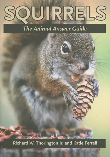 Cover of Squirrels – The Animal Answer Guide