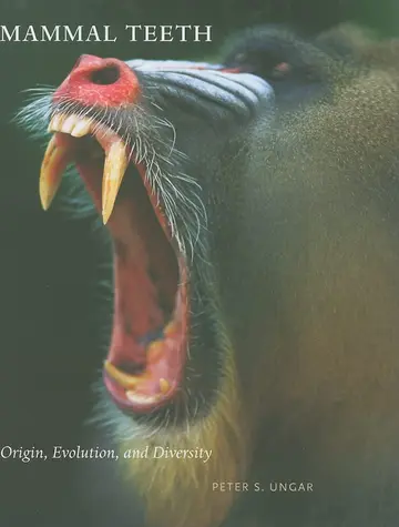 Cover of Mammal Teeth