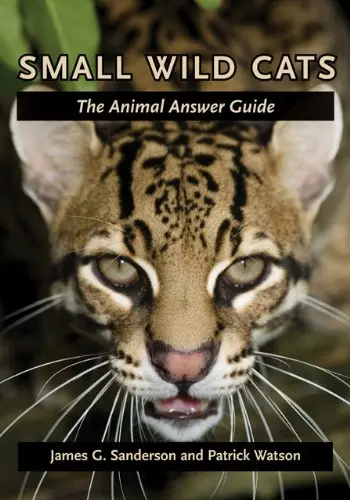 Cover of Small Wild Cats