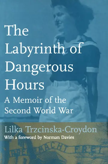 Cover of The Labyrinth of Dangerous Hours