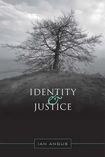 Cover of Identity and Justice