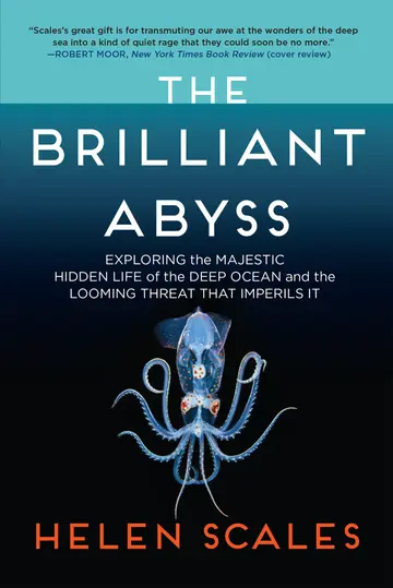 Cover of The Brilliant Abyss