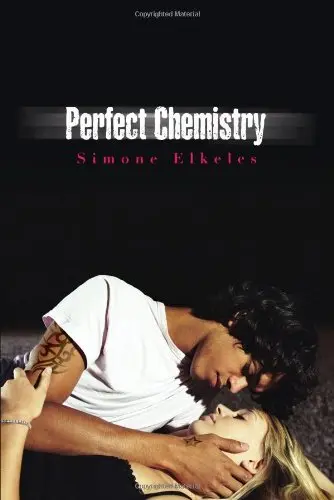 Cover of Perfect Chemistry