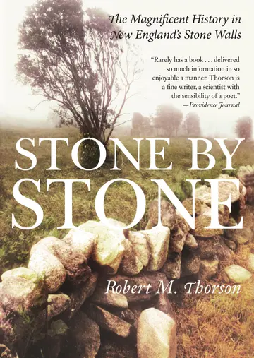 Cover of Stone by Stone