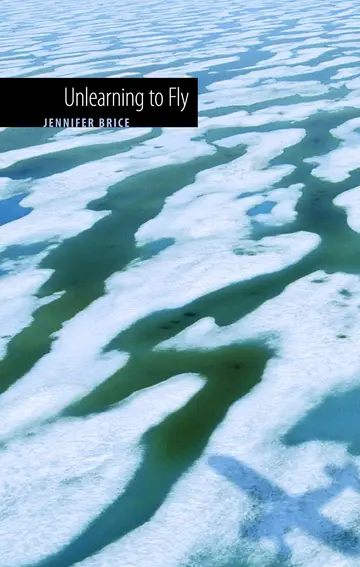 Cover of Unlearning to Fly