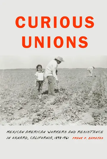 Cover of Curious Unions