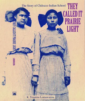 Cover of They Called It Prairie Light