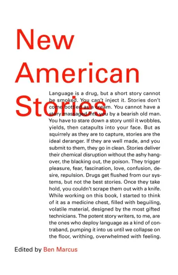 Cover of New American Stories