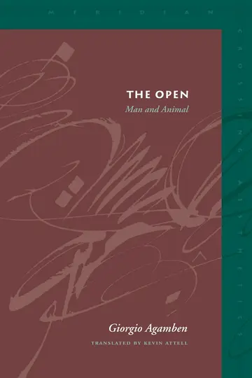 Cover of The Open