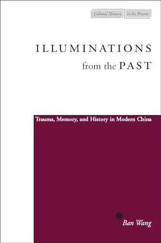 Cover of Illuminations from the Past