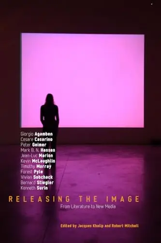 Cover of Releasing the Image