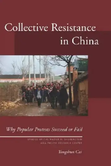 Cover of Collective Resistance in China