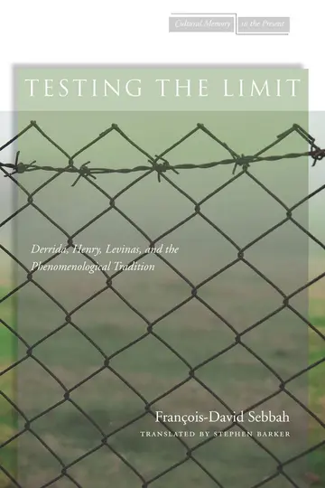 Cover of Testing the Limit