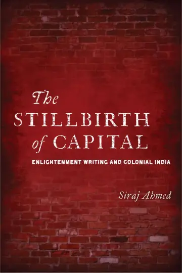 Cover of Stillbirth of Capital