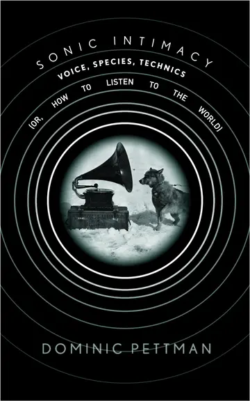 Cover of Sonic Intimacy
