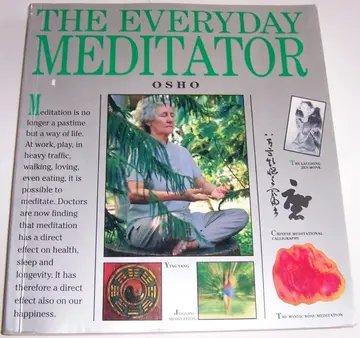 Cover of The Everyday Meditator