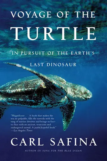 Cover of Voyage of the Turtle