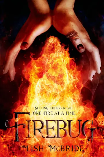 Cover of Firebug
