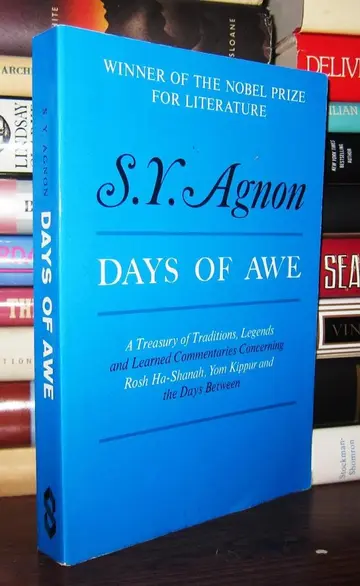 Cover of Days of Awe