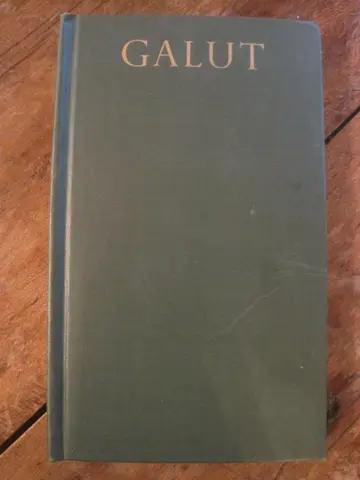 Cover of Galut