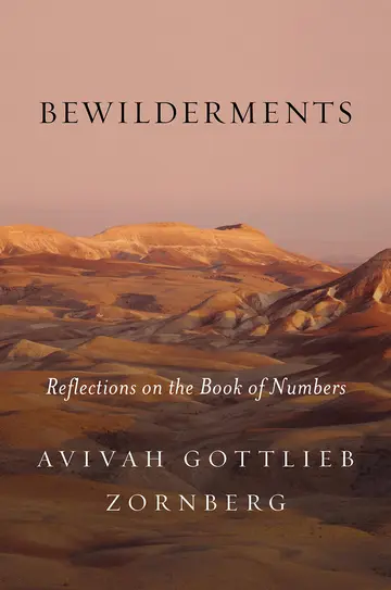 Cover of Bewilderments