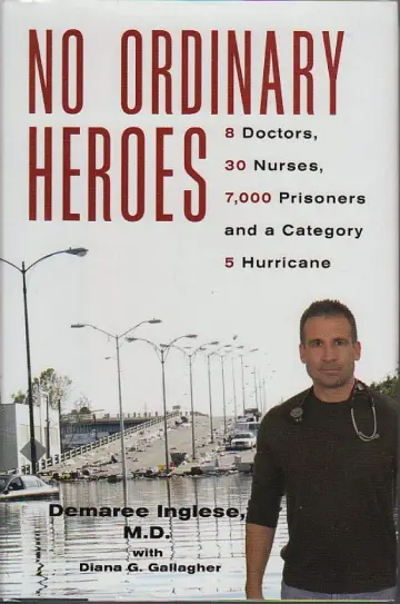 Cover of No Ordinary Heroes