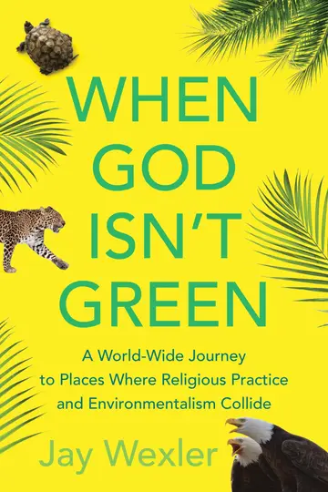 Cover of When God Isn't Green