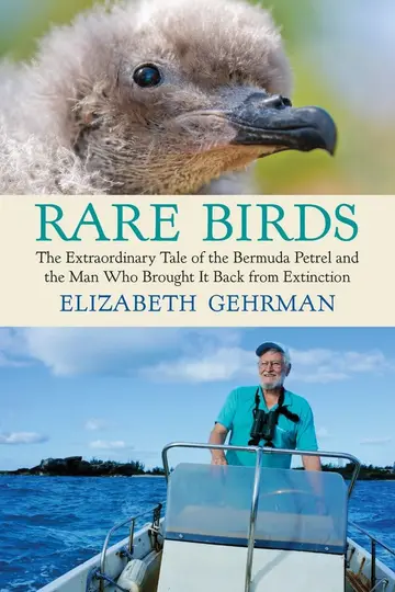 Cover of Rare Birds