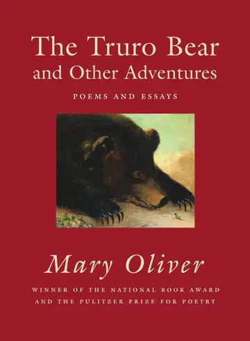 Cover of Truro Bear and Other Adventures