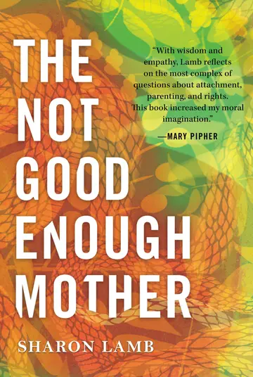 Cover of The Not Good Enough Mother