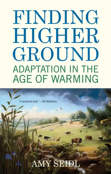 Cover of Finding Higher Ground