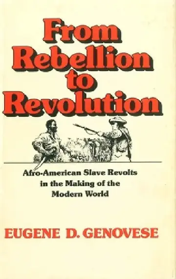 Cover of From Rebellion to Revolution