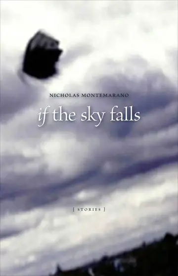 Cover of If the Sky Falls