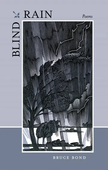 Cover of Blind Rain