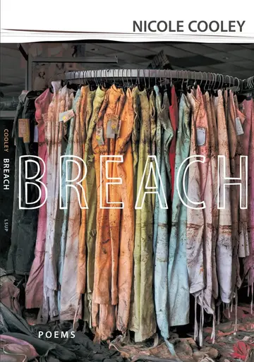 Cover of Breach