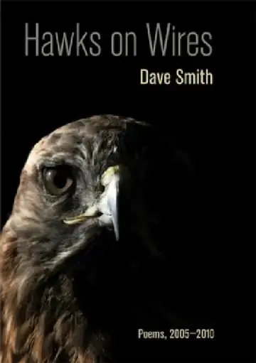 Cover of Hawks on Wires