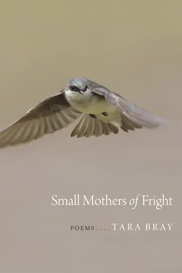 Cover of Small Mothers of Fright